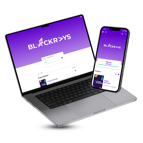 Applications and systems development